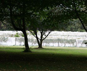 Staindl Wines - Tourism Brisbane 0