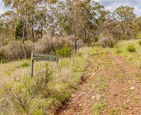 Old Mountain Road Walking Track - Tourism Brisbane 0