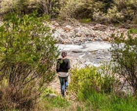 Old Mountain Road Walking Track - Tourism Brisbane 1