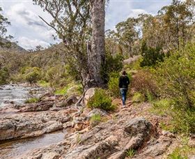 Old Mountain Road Walking Track - Tourism Brisbane 2