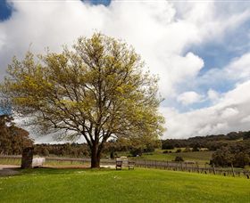 Tuck's Ridge - Tourism Brisbane 2
