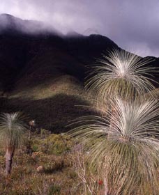 Bluff Knoll, Stirling Range National Park - Tourism Brisbane 3