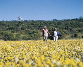 Morawa ACT Tourism Brisbane