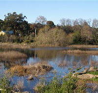 Coolart Wetlands and Homestead - Brisbane Tourism