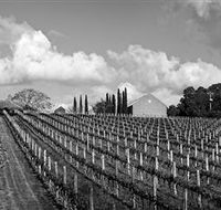 Willow Creek Vineyard - Tourism Brisbane