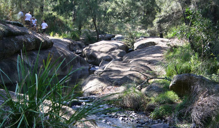 Middle Brook NSW Tourism Brisbane
