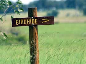 Wilkesdale ACT Tourism Brisbane