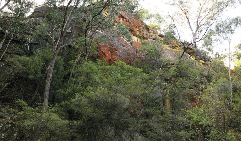 Littleton NSW Tourism Brisbane