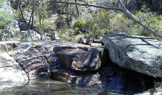 Book Deepwater NSW Attractions Tourism Brisbane Tourism Brisbane