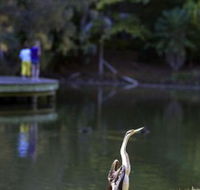 Birdwatching in the South Burnett - Tourism Brisbane