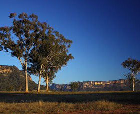 Capertee Valley Bird Trail - Brisbane Tourism 0