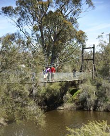 Avon Park - Tourism Brisbane 0