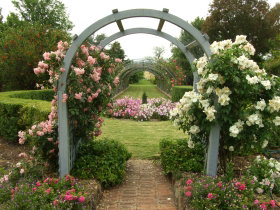 Harrow Gardens - Tourism Brisbane 2