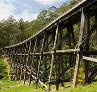 Noojee Trestle Bridge - Tourism Brisbane