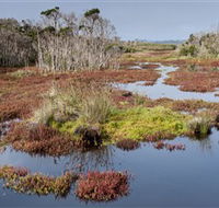 French Island National Park - Tourism Brisbane
