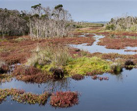 French Island National Park - Tourism Brisbane 0