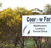 Coorow Farm Wildflower Trail - Tourism Brisbane