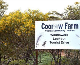 Coorow Farm Wildflower Trail - Tourism Brisbane 0