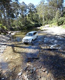 Aberfeldy Four Wheel Drive Track - Tourism Brisbane 0