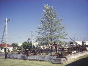 Clifton Historical Museum - Tourism Brisbane 1