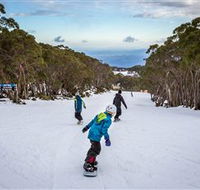 Mt Baw Baw Alpine Resort - Tourism Brisbane