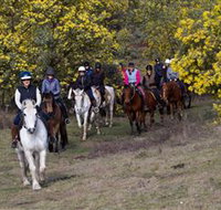 Burnelee Excursions on Horseback - Tourism Brisbane