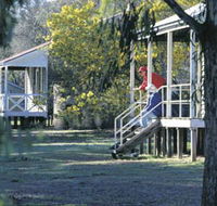 Dryandra Woodland - Tourism Brisbane