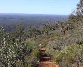 Mount Dale Walk Trail - Brisbane Tourism 0