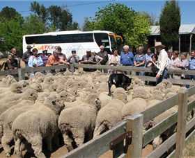 New Gisborne ACT Tourism Brisbane