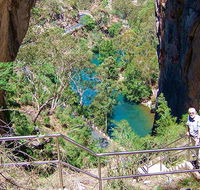 Carlotta Arch walking track - Tourism Brisbane