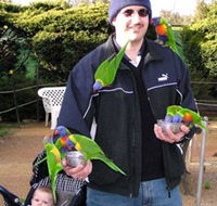 Canberra Walk In Aviary - Tourism Brisbane
