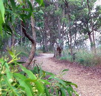Mount Mutton Walking Trail - Tourism Brisbane