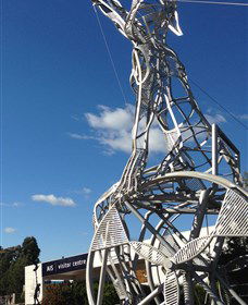 Australian Institute Of Sport (AIS) - Tourism Brisbane 0