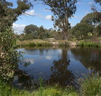 Cooleman Ridge - Tourism Brisbane