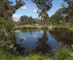 Cooleman Ridge - Tourism Brisbane 0