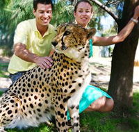 National Zoo  Aquarium - Tourism Brisbane