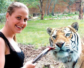 National Zoo & Aquarium - Tourism Brisbane 1