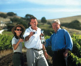 Activity Tours Australia - Tourism Brisbane 0