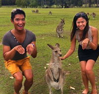 Runaway Tours - Tourism Brisbane