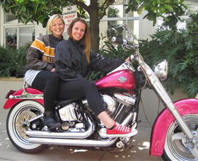 Wild Ride Harley And Motorcycle Tours - Brisbane Tourism 0