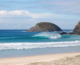 Surfaris Surf Camp - Tourism Brisbane 4