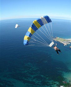Skydive The Beach And Beyond Sydney - Wollongong - Tourism Brisbane 6