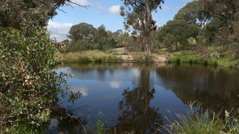 Cooleman Ridge - Tourism Brisbane 3