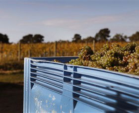 Quealy Winemakers - Brisbane Tourism 3