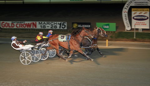 Bathurst Harness Racing Club - Brisbane 4u 3