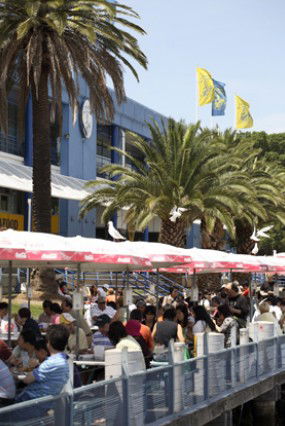 Sydneys Fish Market - Tourism Brisbane 1