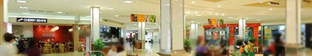 Ashfield Mall Shopping Centre - Tourism Brisbane 1