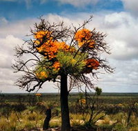 The Delmar Gallery - Tourism Brisbane