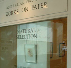 Australian Galleries - Roylston Street - Tourism Brisbane 1