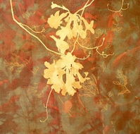 Fellia Melas Gallery - Brisbane Tourism